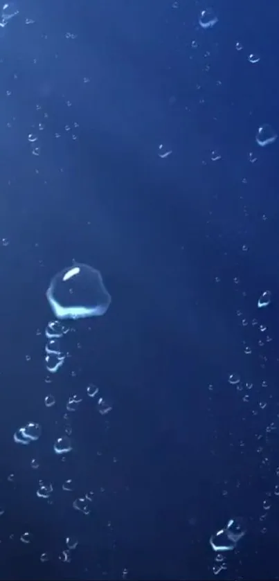 Tranquil water bubbles float on a dark blue background.