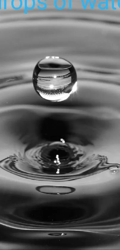 Tranquil black and white water drop wallpaper with ripples.