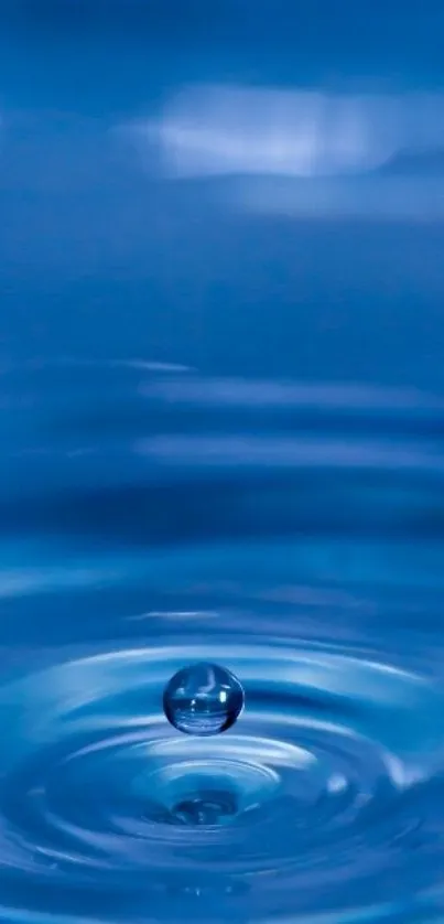 A serene water droplet and ripple on a blue background for mobile wallpaper.