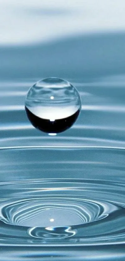 Serene water droplet with ripples on a blue background wallpaper.