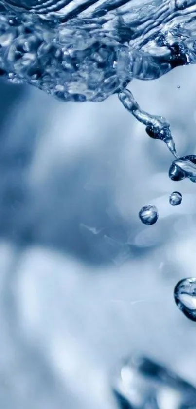 Close-up of serene water droplets on blue background.