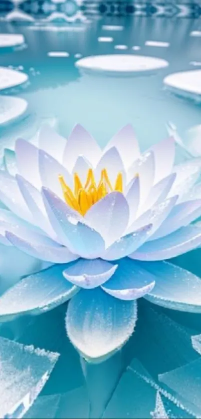 Serene white and yellow water lily floating on aqua water.