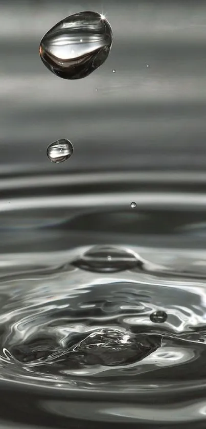 Serene water ripple with droplets creating a calming effect on a gray background.