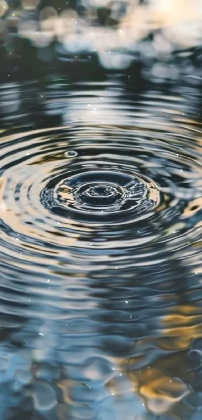A serene water ripple creating concentric circles on a calm surface.