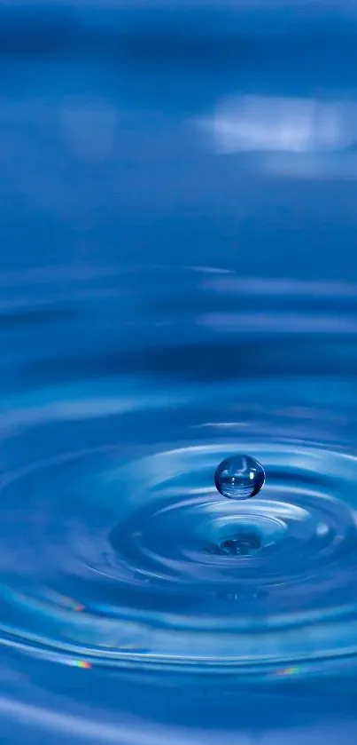 Serene blue water ripple with droplet creating waves.