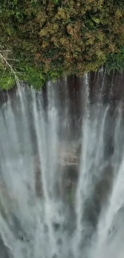 Aerial view of a serene waterfall surrounded by lush green forest.