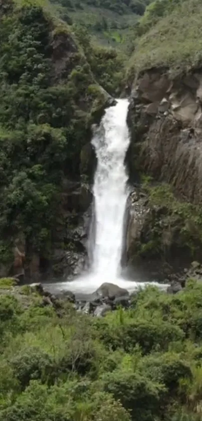 A serene waterfall cascading amidst lush green surroundings.