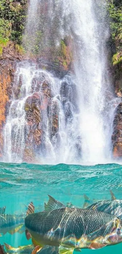 Waterfall cascading into turquoise pool with fish swimming.