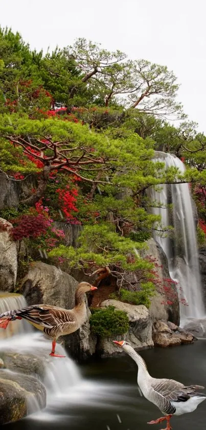 Tranquil waterfall scene with geese and lush greenery.