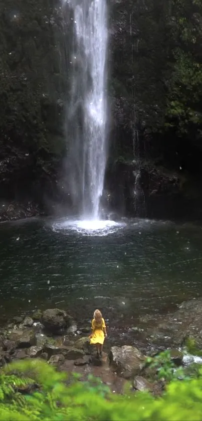 Serene waterfall in lush green forest wallpaper