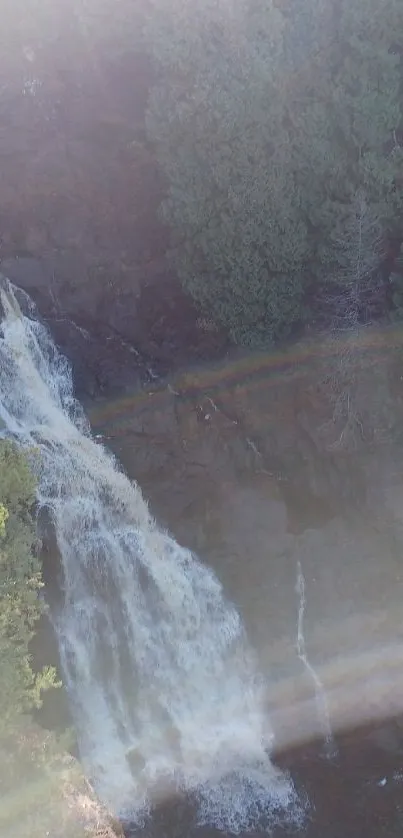 Waterfall cascading in a lush green forest with a rainbow across the scene.