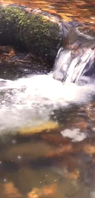 Serene waterfall with autumn leaves on a mossy rock bed.