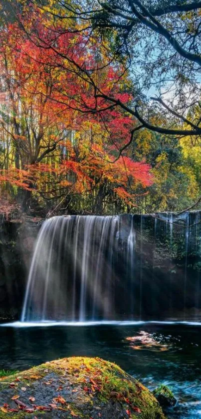 Waterfall with vibrant autumn leaves and serene waters in forest.