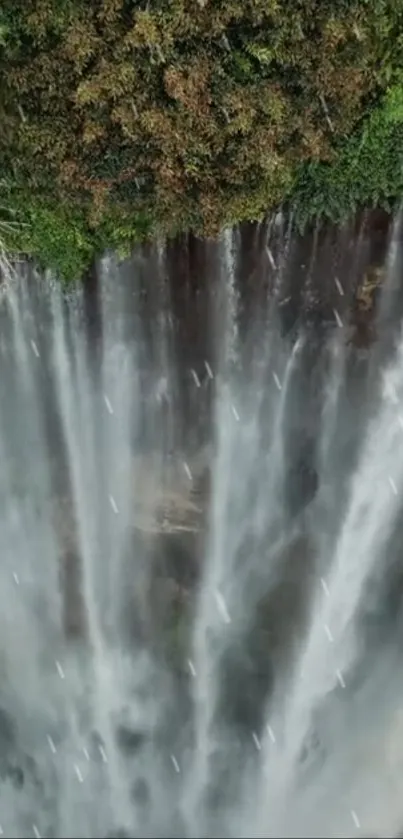 Vibrant waterfall cascading amid lush greenery.