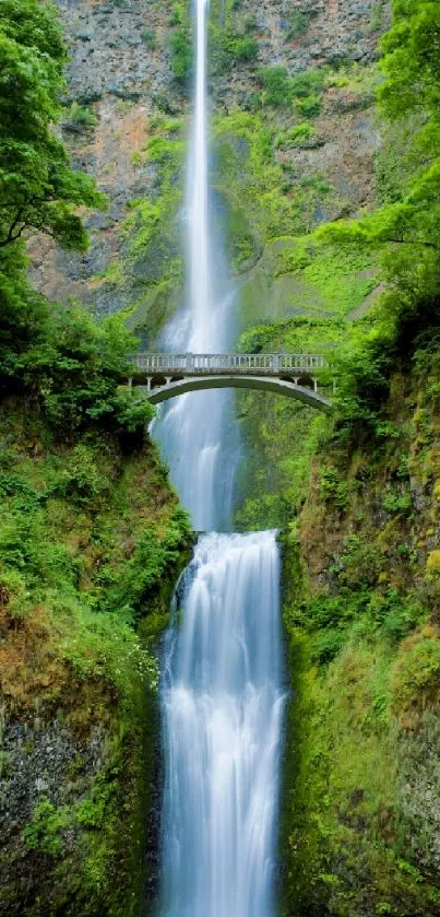 Stunning waterfall cascading under a scenic green bridge with lush foliage.