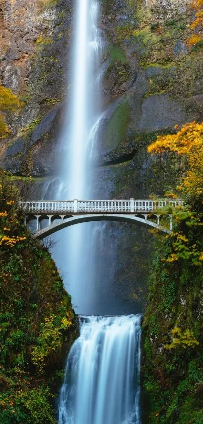 Waterfall flowing under a bridge amidst lush autumn foliage.