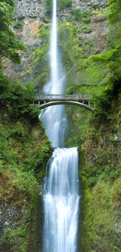 Serene waterfall cascading under a bridge with lush green surroundings.