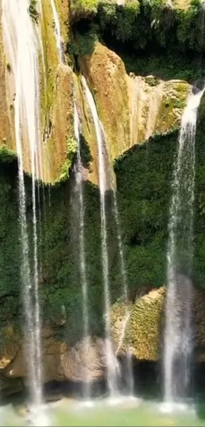 Scenic waterfall with lush green background on mobile wallpaper.