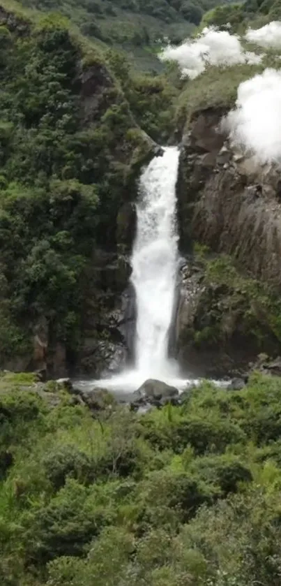 Serene waterfall amidst lush green scenery.