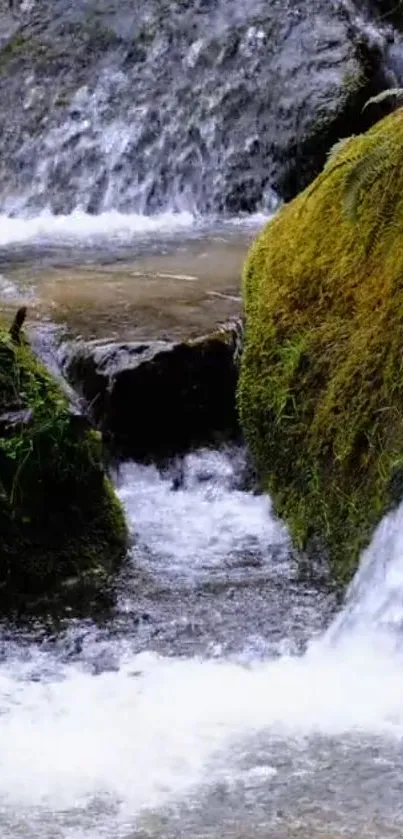 Mobile wallpaper featuring a serene waterfall and lush green landscape.