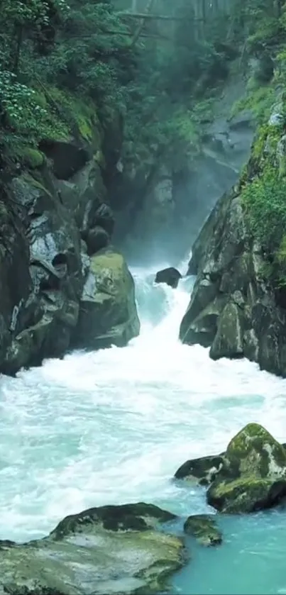 Tranquil waterfall in lush green forest wallpaper.