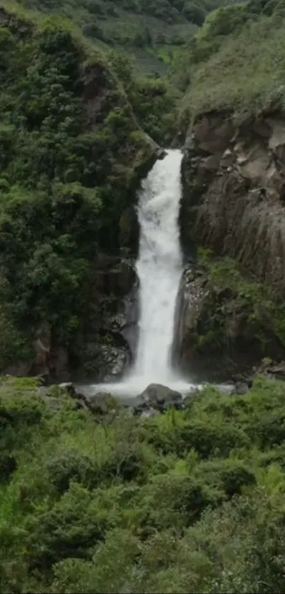 Serene waterfall cascading in lush forest landscape.