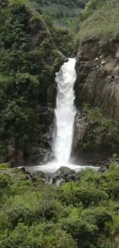 Waterfall cascading through lush green forest in a serene landscape.