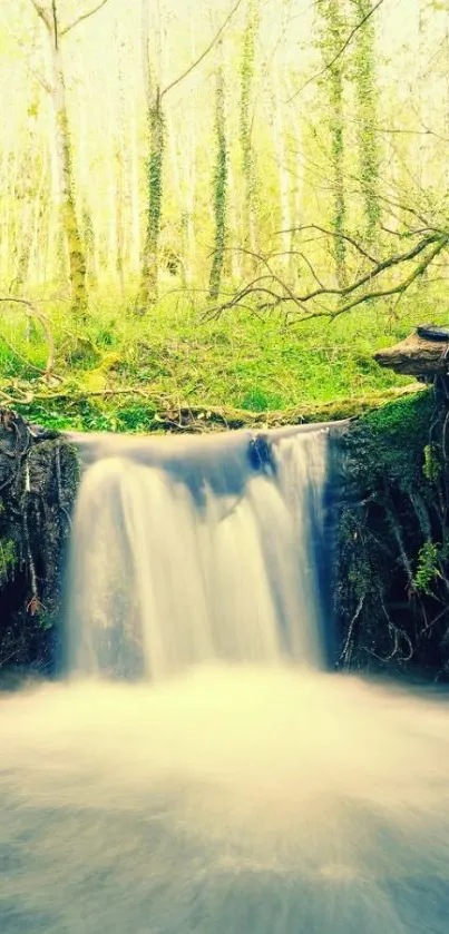 Serene waterfall in lush green forest wallpaper.