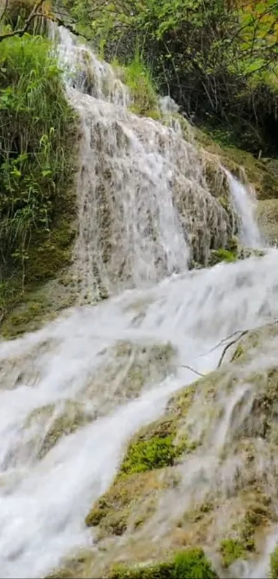 Serene waterfall in a lush green forest on a mobile wallpaper.