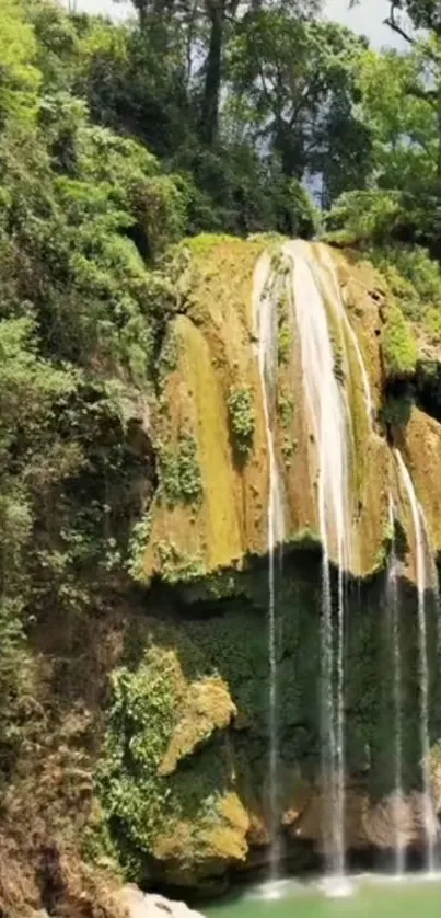 Serene waterfall amidst lush green forest landscape.