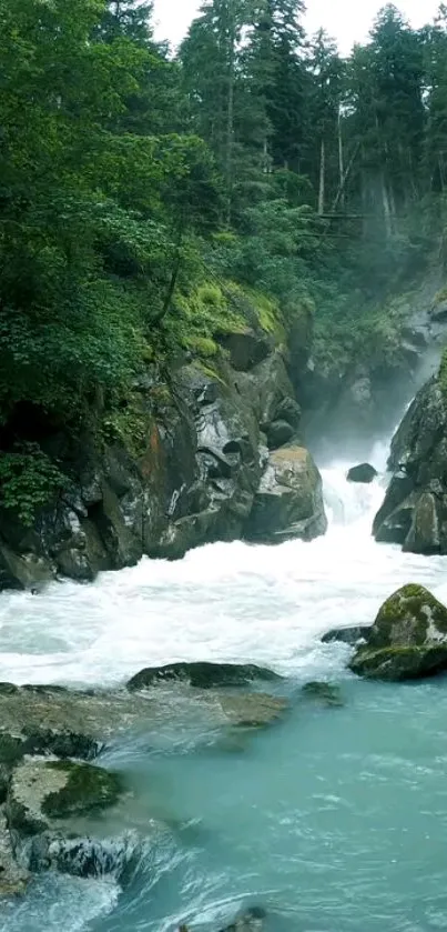 Serene waterfall flowing through lush green forest.