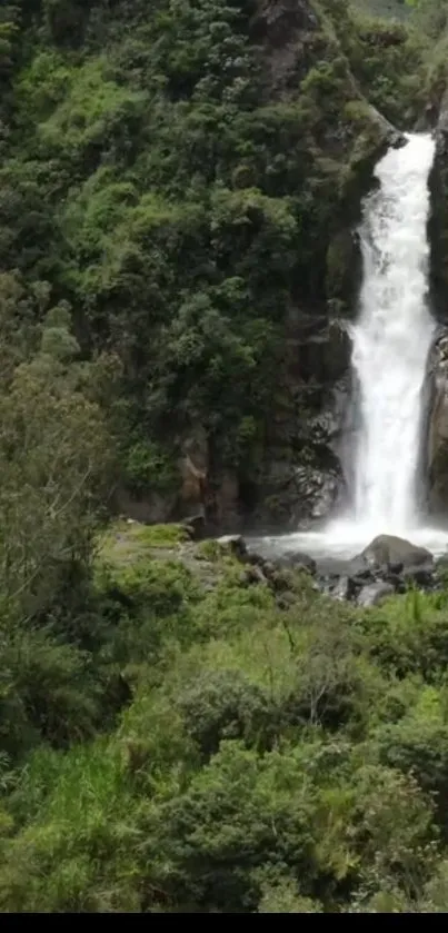 Waterfall cascading through a lush, green forest.