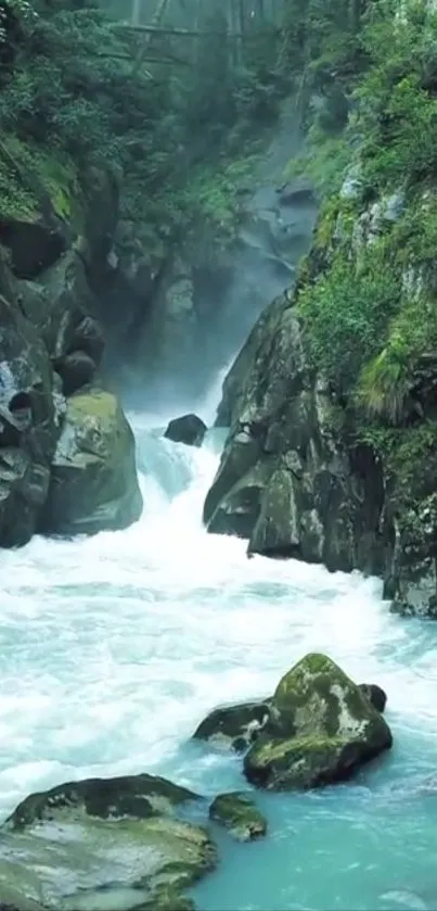 Captivating view of a waterfall cascading through a verdant forest.