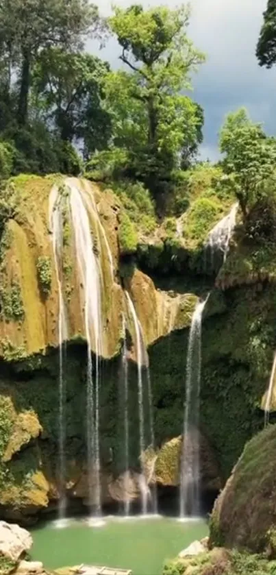 Serene waterfall flowing amidst lush forest greenery.