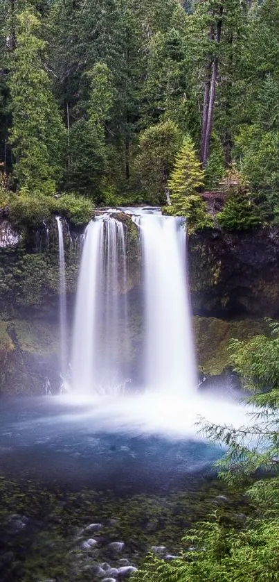 Mobile wallpaper with a cascading waterfall surrounded by lush green forest.