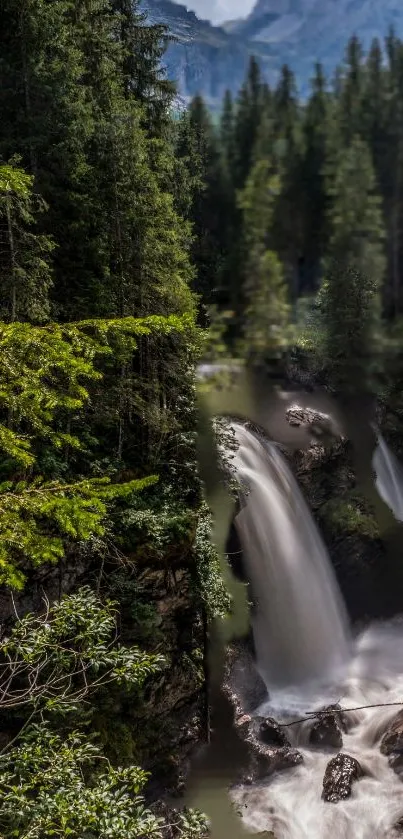 Serene waterfall in lush forest landscape on mobile wallpaper.