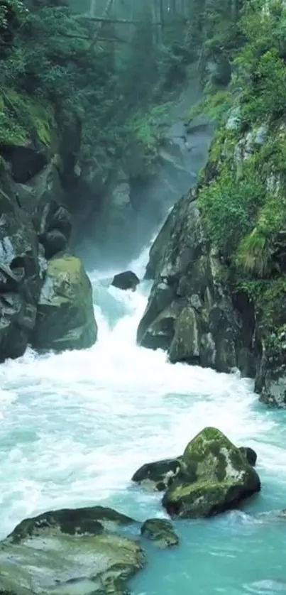 Serene view of waterfall flowing through lush green gorge.