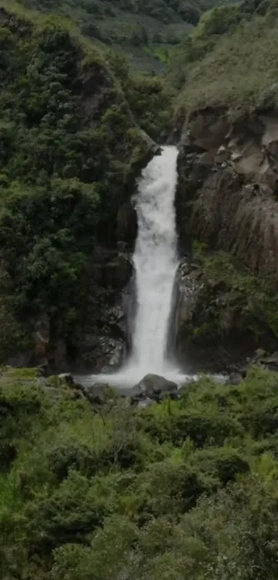 Serene waterfall amidst lush green forest.