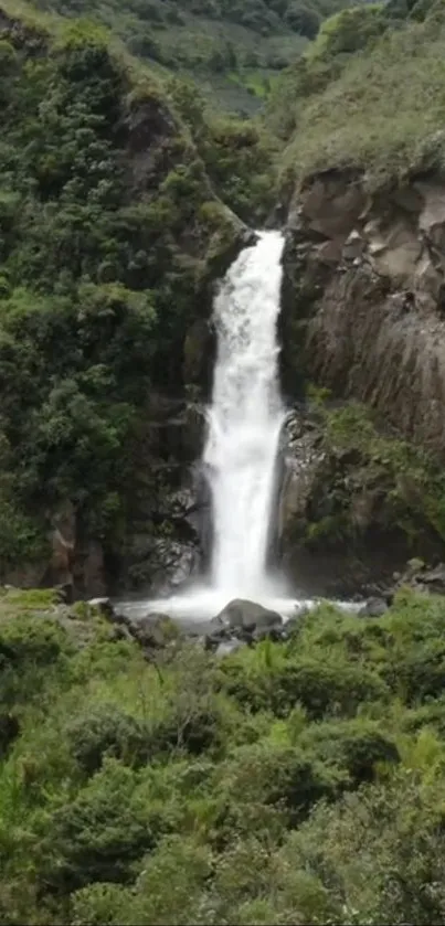 Beautiful waterfall amid lush green forest, perfect for nature enthusiasts.