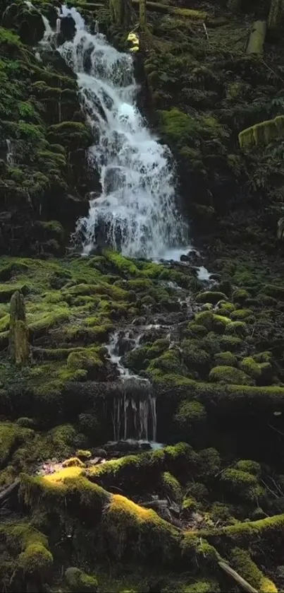Serene waterfall flowing in a lush forest setting.