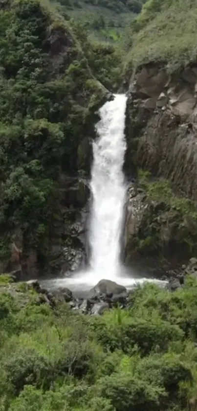 A stunning waterfall surrounded by lush green foliage.