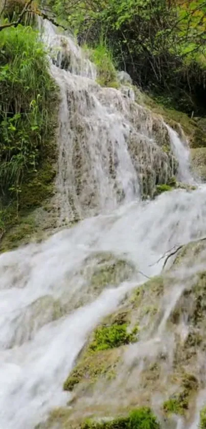 Tranquil waterfall flows through lush green forest.