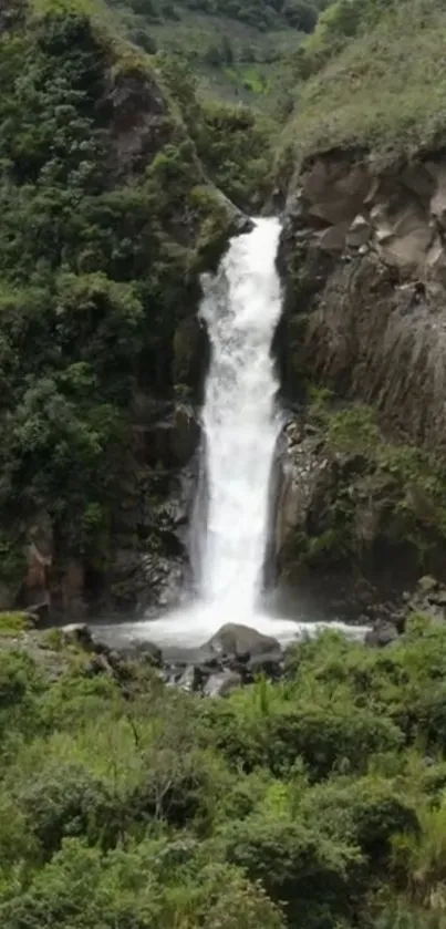 Lush forest with a waterfall cascading in nature.