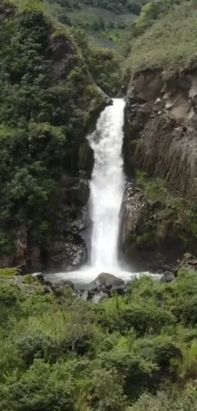 Serene waterfall surrounded by lush greenery in a forest landscape.