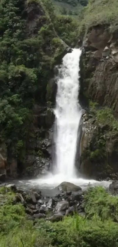 Mobile wallpaper of a waterfall in a lush green forest, exuding serenity and tranquility.