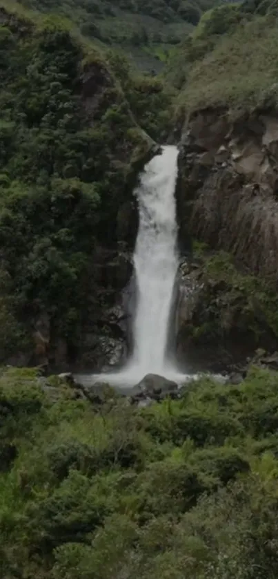 A serene waterfall flows amid lush green forest landscape.