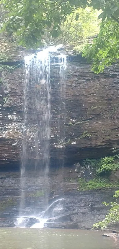 Waterfall cascading down rocks in a lush, green forest landscape.