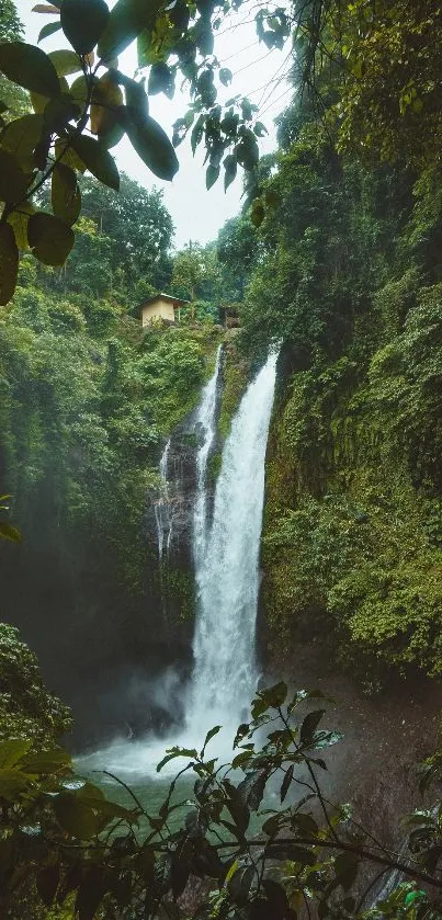 Majestic waterfall flowing through vibrant green forest.