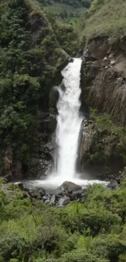 Breathtaking waterfall in lush green forest wallpaper.