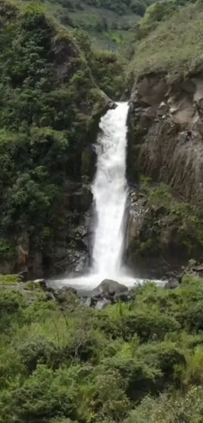 Waterfall cascading in lush green forest landscape.